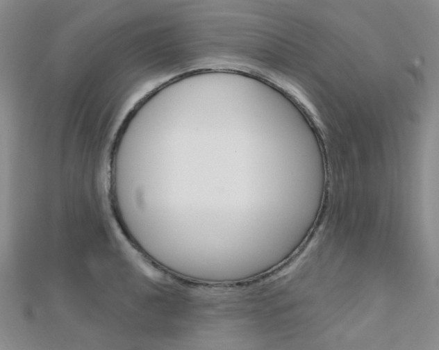 X0000112161040200908070934
