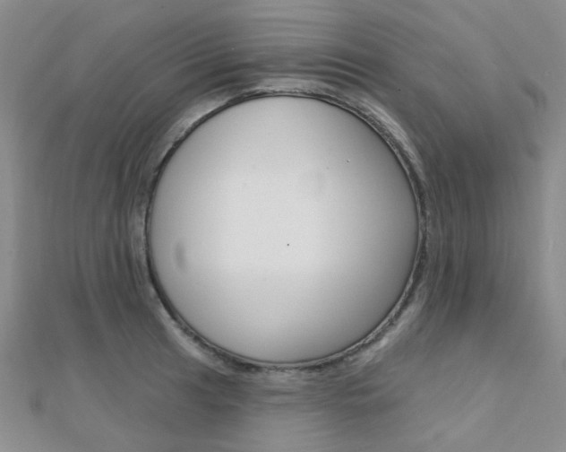 X0000112161041200908070934