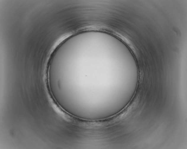 X0000112161042200908070934