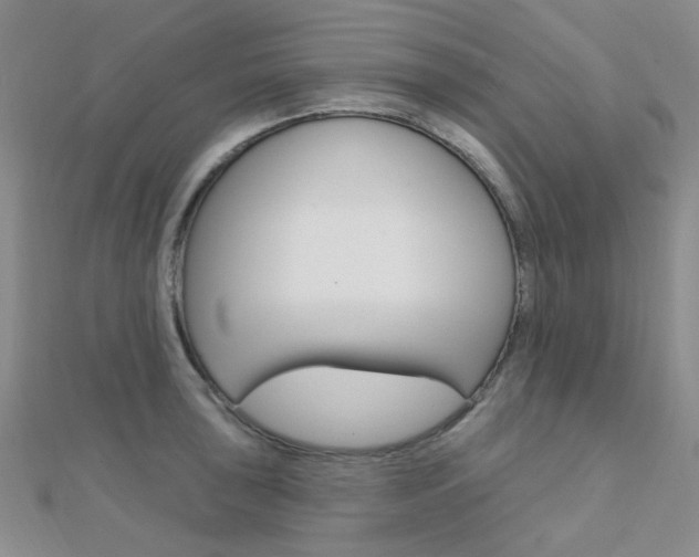 X0000112161043200908070934