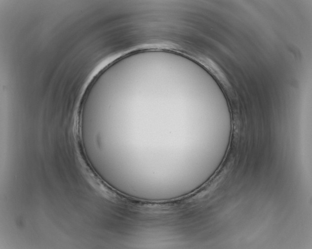 X0000112161044200908070934