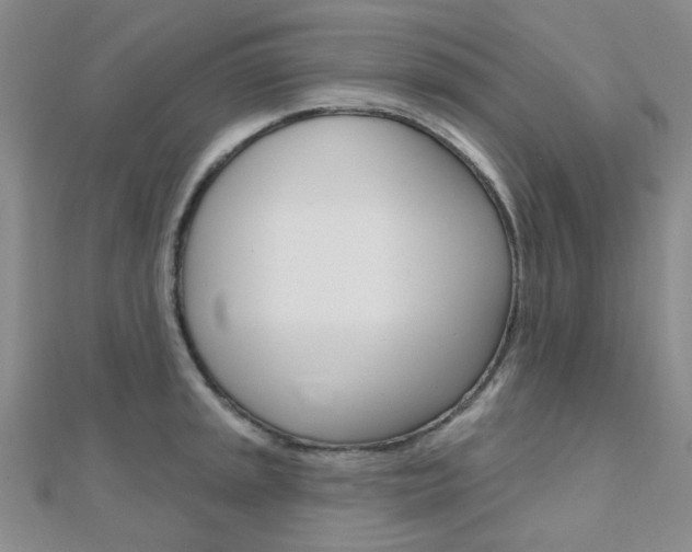 X0000112161045200908070934