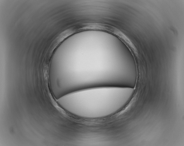 X0000112161049200908070934