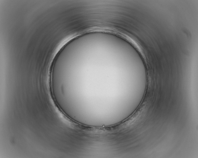 X0000112161050200908070934