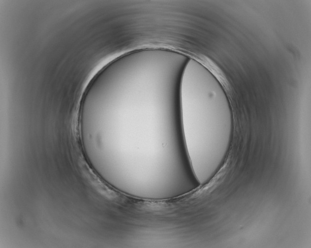X0000112161052200908070934
