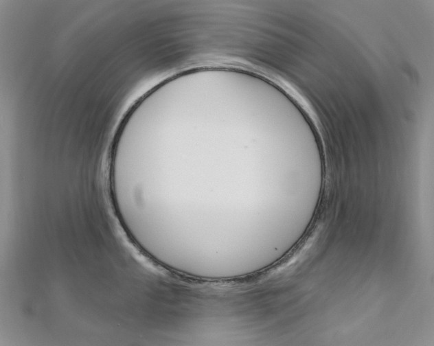 X0000112161053200908070934