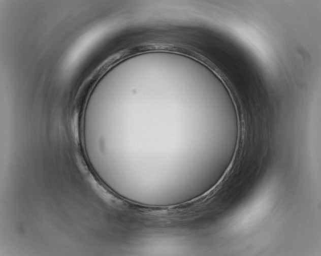 X0000112161054200908070934