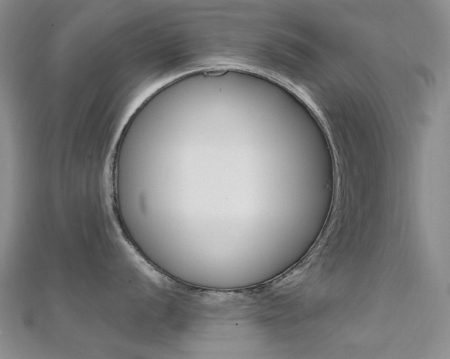 X0000112161056200908070934