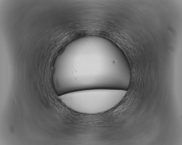 X0000112161057200908070934