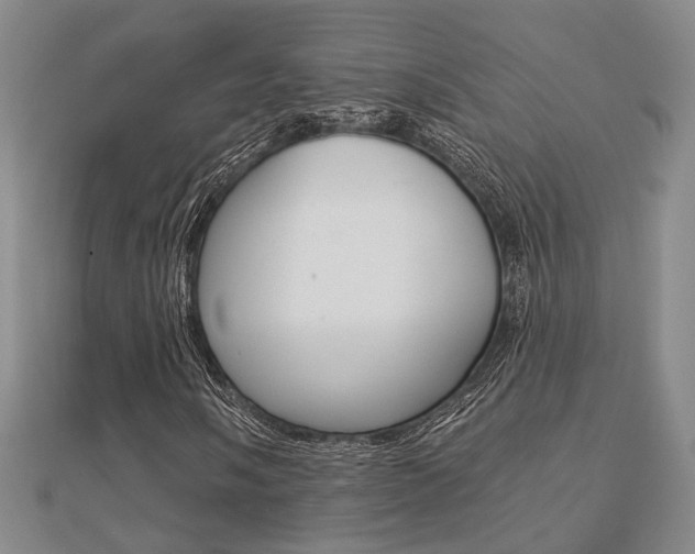 X0000112161058200908070934