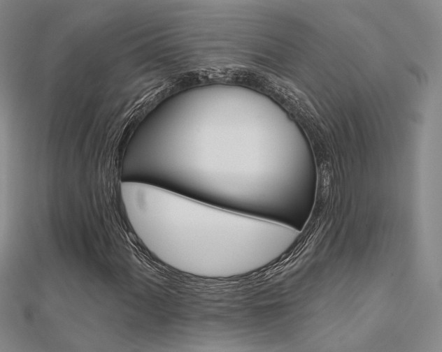 X0000112161060200908070934