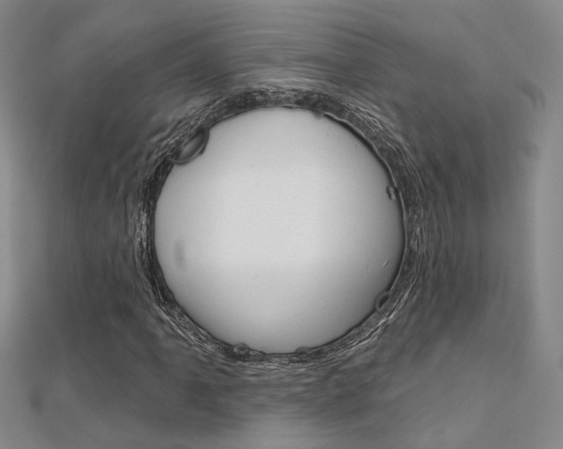 X0000112161061200908070933