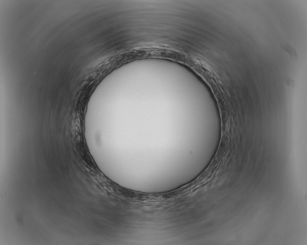 X0000112161062200908070933