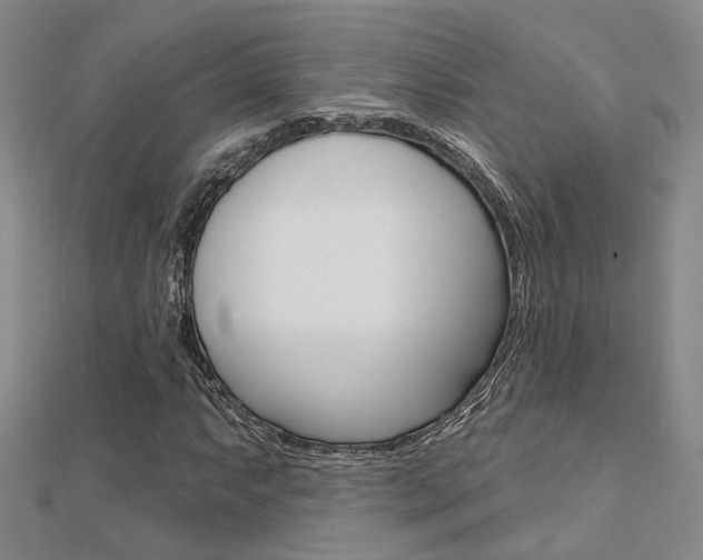 X0000112161063200908070933