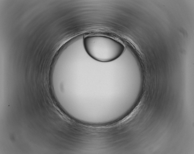 X0000112161065200908070933
