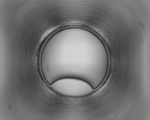 X0000112161066200908070933