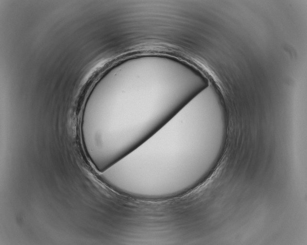 X0000112161067200908070933