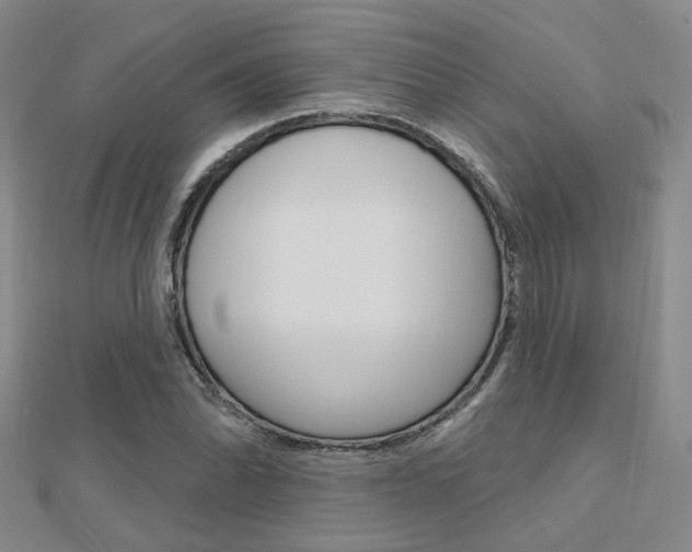 X0000112161070200908070933