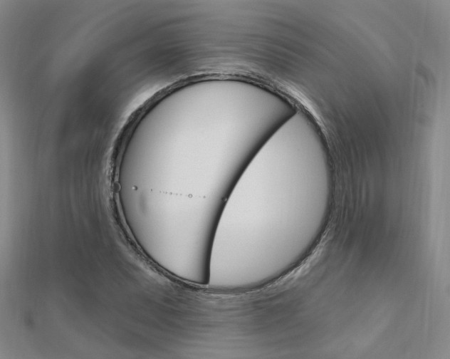 X0000112161071200908070933
