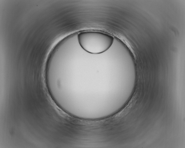 X0000112161072200908070933