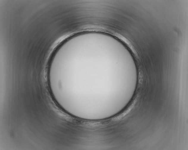 X0000112161074200908070933