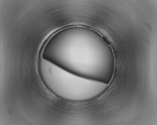 X0000112161076200908070933