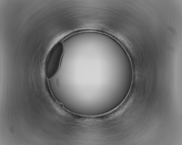 X0000112161077200908070933