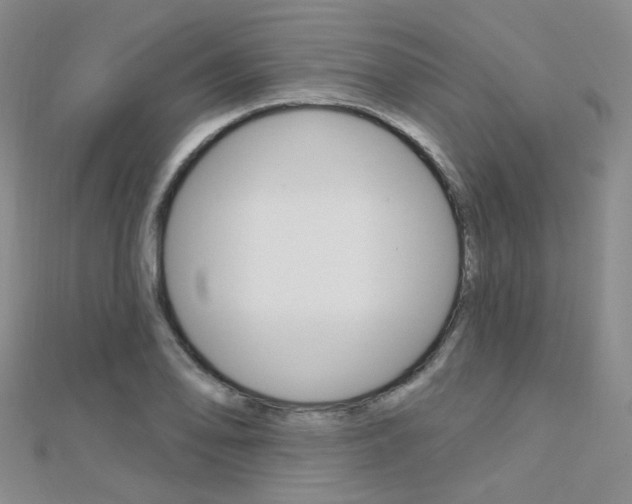 X0000112161078200908070933