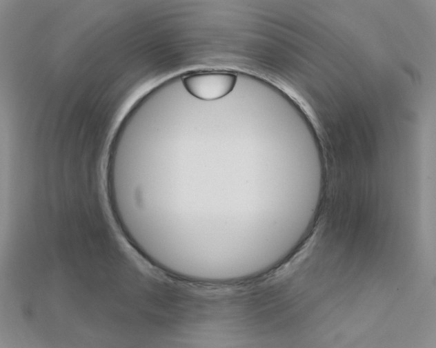 X0000112161085200908070933