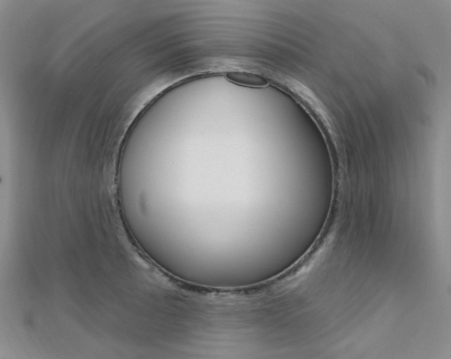 X0000112161089200908070933
