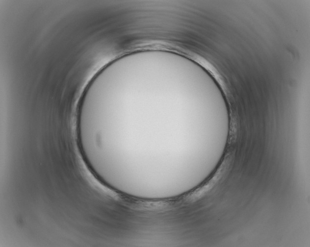 X0000112161090200908070933