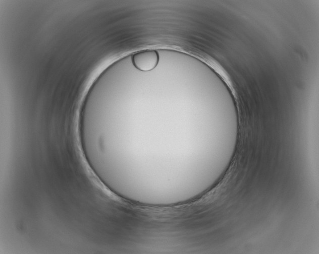 X0000112161096200908070933