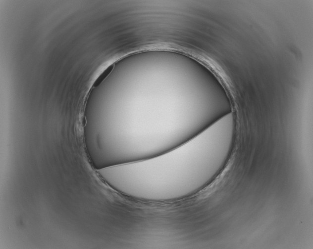 X0000112161097200908070933