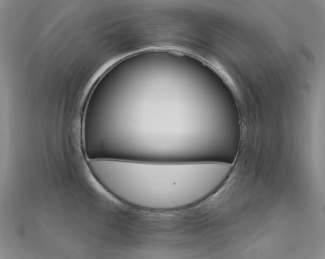 X0000112161100200908070933