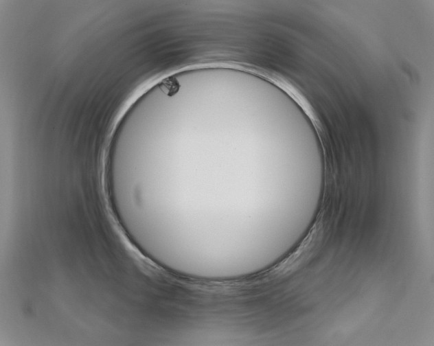 X0000112161101200908070933