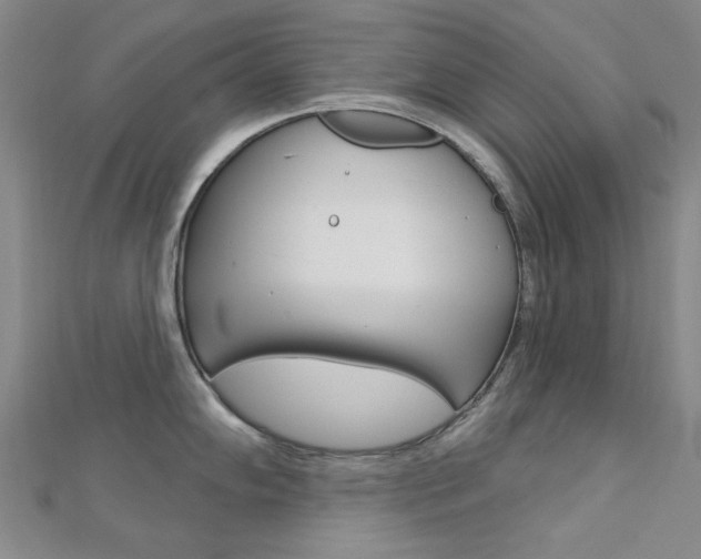 X0000112161102200908070933