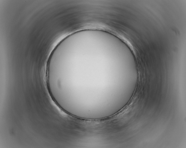 X0000112161103200908070933