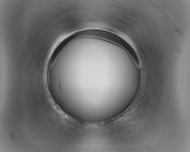 X0000112161104200908070933