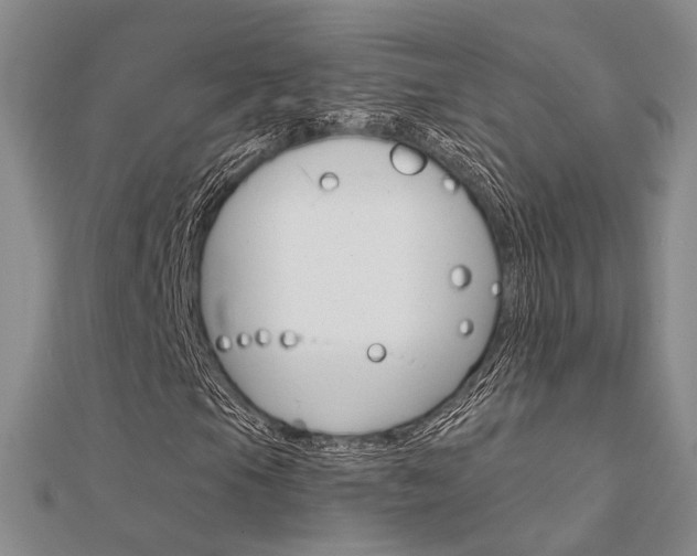 X0000112161105200908070932