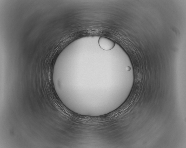 X0000112161106200908070932