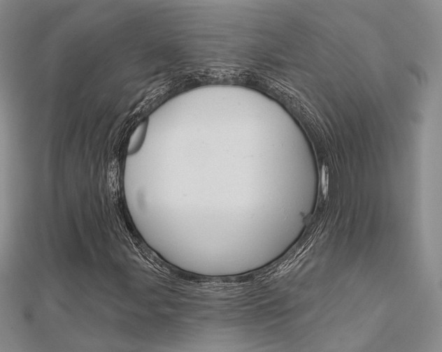 X0000112161107200908070932