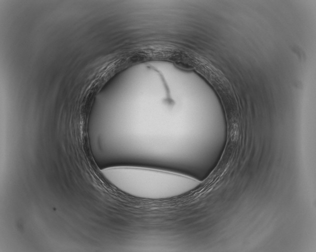 X0000112161108200908070932