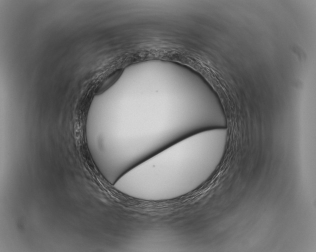 X0000112161109200908070932