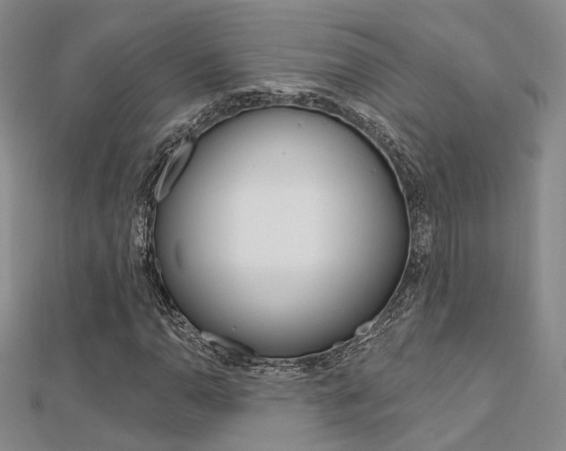 X0000112161110200908070932
