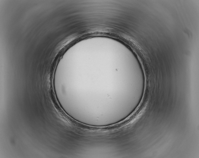X0000112161113200908070932