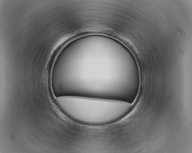X0000112161114200908070932