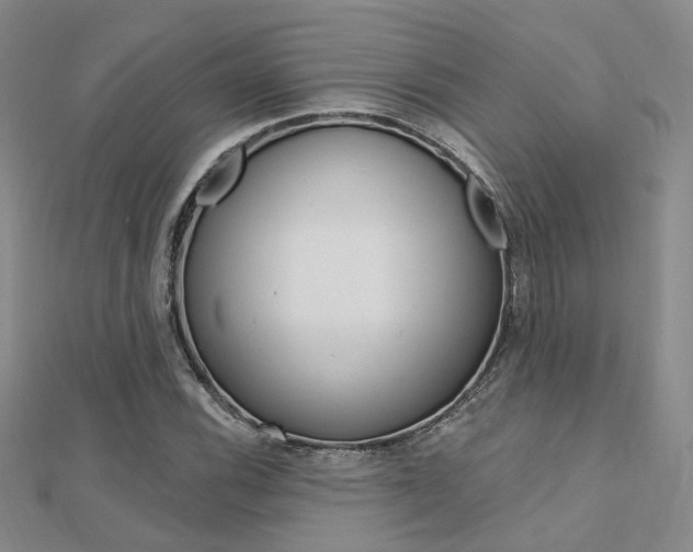 X0000112161116200908070932