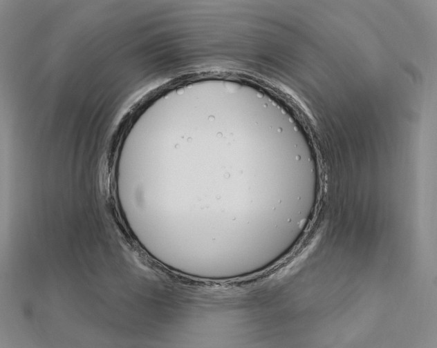 X0000112161117200908070932