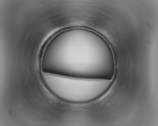 X0000112161118200908070933