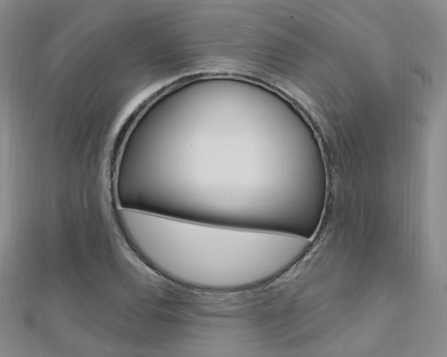 X0000112161120200908070933
